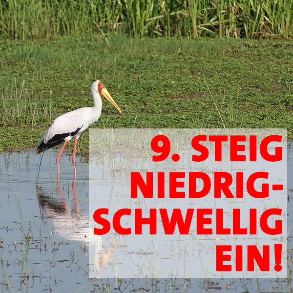 Regel 9 im Haustürwahlkampf - Sei nicht zu kompliziert!