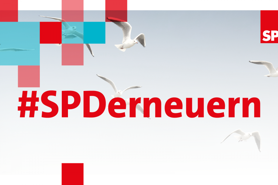 Foto von fliegenden Möwen im Vordergrund steht in roter Schrift #SPDerneuern