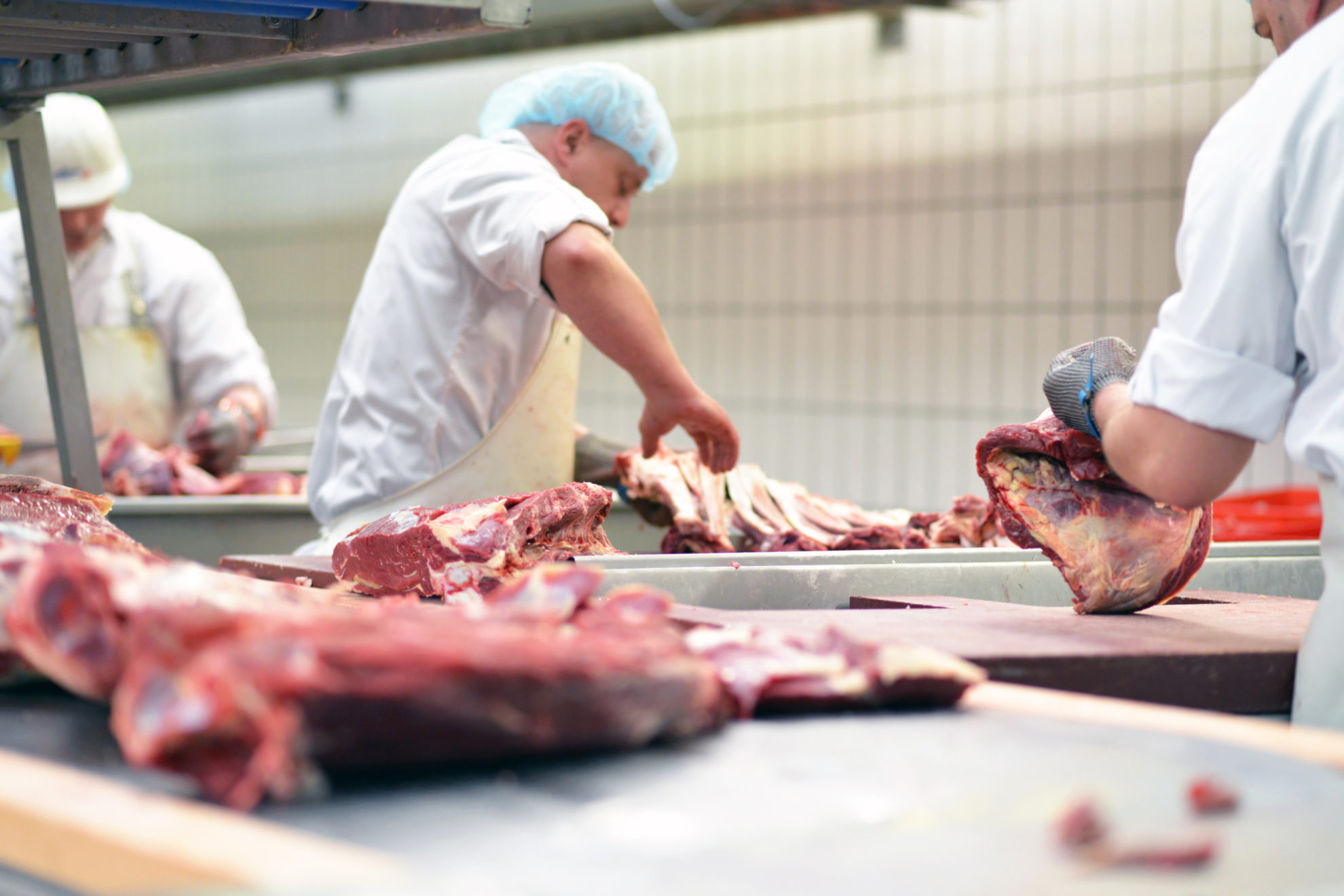 Blick in den Schlachthof Foto: industryviews/shutterstock