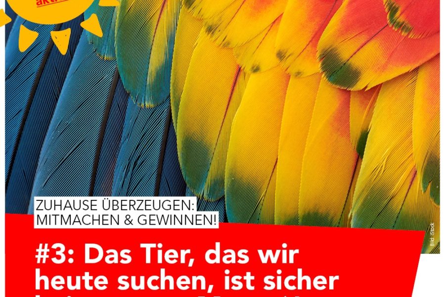Gewinnspiel Tag3